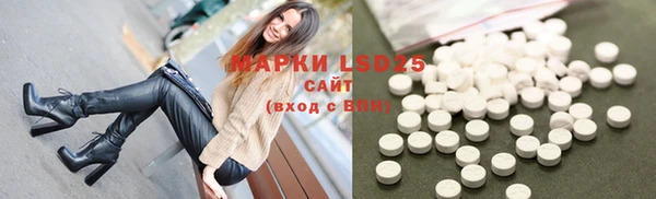 PSILOCYBIN Бронницы