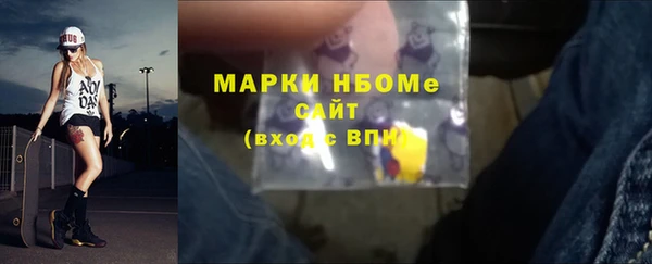ECSTASY Богородицк
