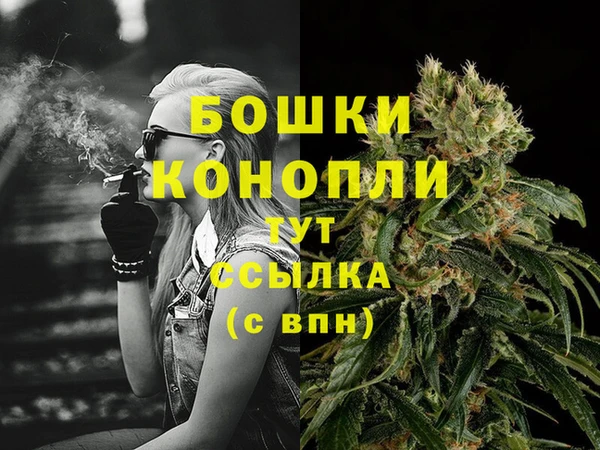шишки Богданович