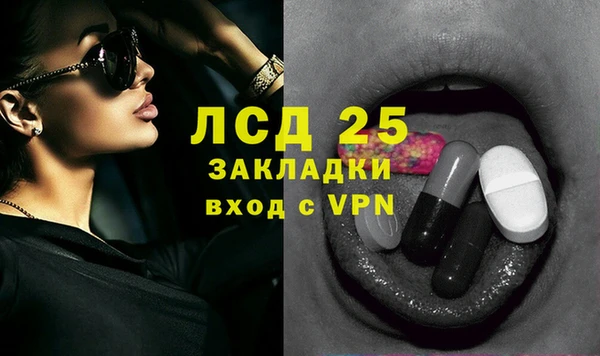 спиды Бородино