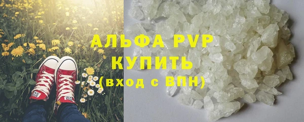 спиды Бородино