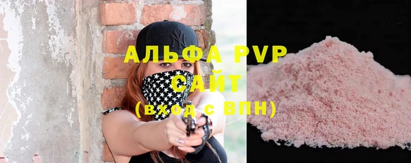 ECSTASY Богородицк
